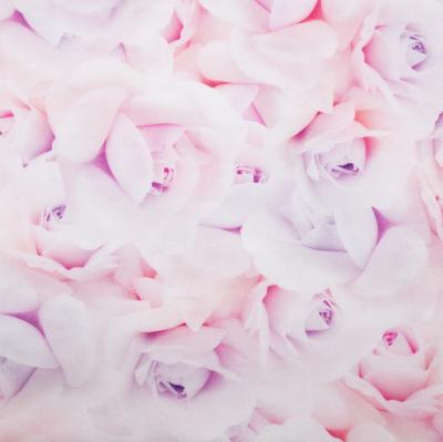 Tkanina Bawełniana 114g drukowana cyfrowo pączki róż pastela